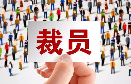 技術(shù)壁壘與商業(yè)抉擇 當(dāng)自主權(quán)遭遇全球市場