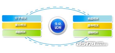 創業良機 加盟和興生物，搶占大健康產業藍海